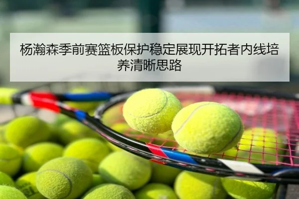 杨瀚森季前赛篮板保护稳定展现开拓者内线培养清晰思路